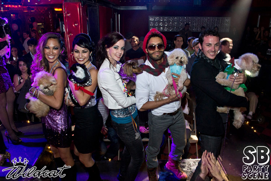 wildcats Santa Barbara Fashion Show